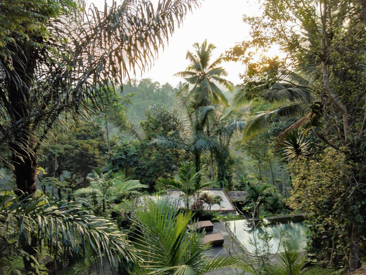 Villa Rimba Ubud Tegallalang  Exterior photo