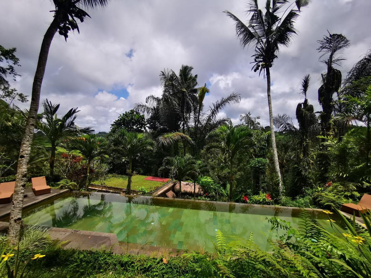 Villa Rimba Ubud Tegallalang  Exterior photo