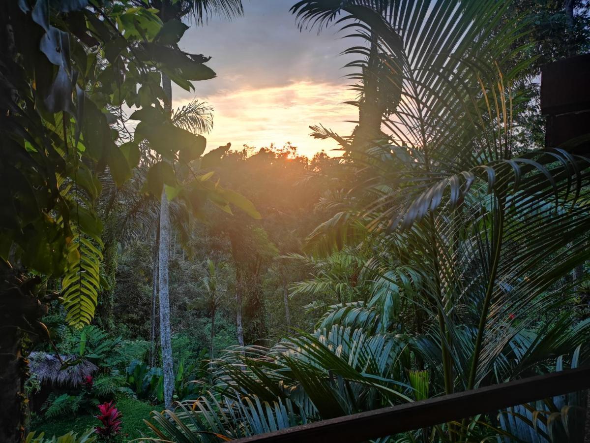 Villa Rimba Ubud Tegallalang  Exterior photo